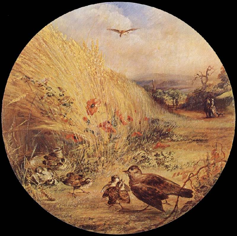 William Dexter Wheatfield with bird-s nest oil painting image
